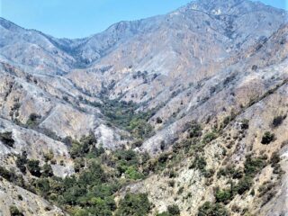 Big Santa Anita Canyon After Fire 2020